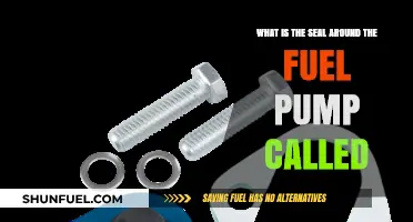 Understanding the Fuel Pump Seal: Its Name and Function Explained