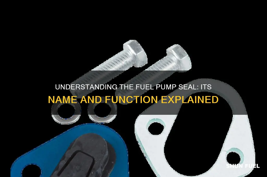 what is the seal around the fuel pump called