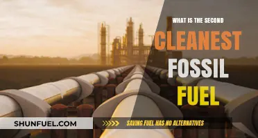 Exploring the Second Cleanest Fossil Fuel: Natural Gas Benefits