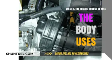 Unlocking Energy Reserves: The Body's Secondary Fuel Source Explained