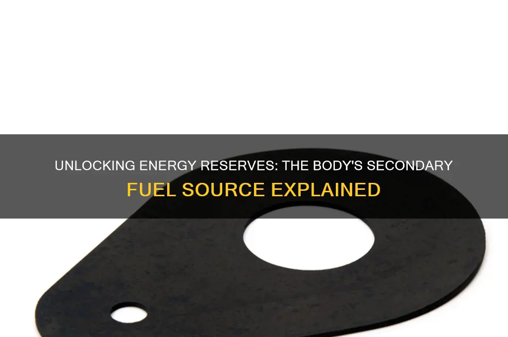 what is the second source of fuel the body uses