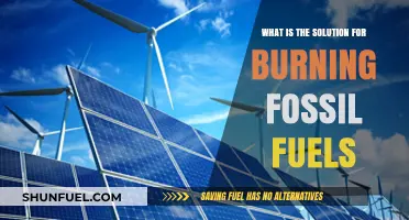 Sustainable Alternatives to Burning Fossil Fuels: A Clean Energy Solution