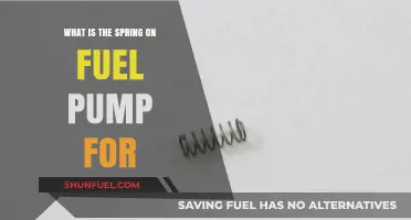 Understanding the Spring's Role in Fuel Pump Functionality and Efficiency