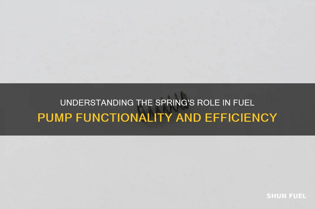 what is the spring on fuel pump for