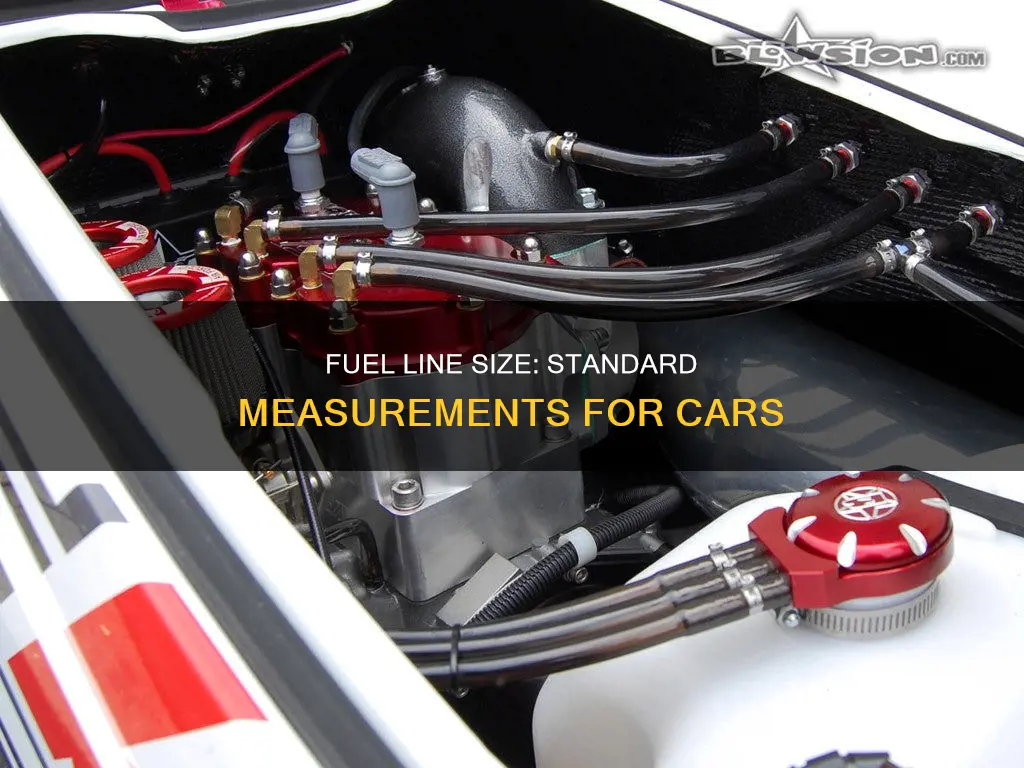 what is the standard fuel line size in cars