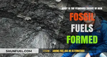 The Standard Theory of Fossil Fuel Formation Explained