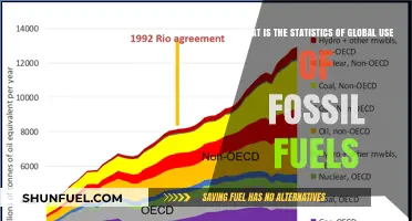 Global Fossil Fuel Consumption: Trends, Statistics, and Environmental Impact
