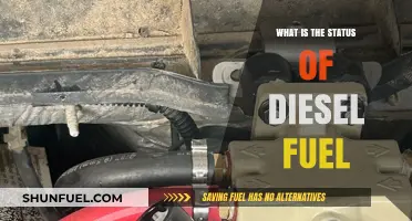 Diesel Fuel: A Sustainable Future?