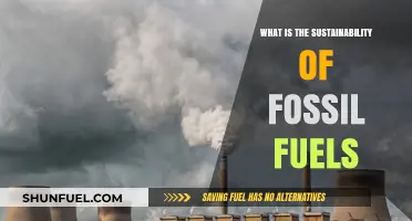 Fossil Fuels' Sustainability: A Critical Analysis of Finite Resources
