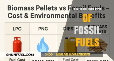 Exploring the Three Primary Types of Fossil Fuels: Coal, Oil, Gas