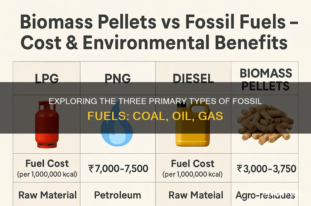 what is the three types of fossil fuels