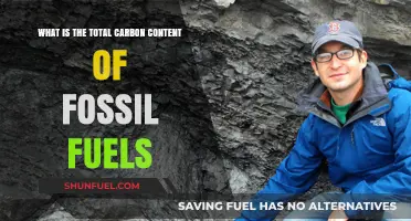 Unveiling the Hidden Carbon Footprint of Fossil Fuels: A Comprehensive Analysis
