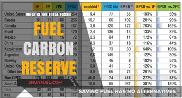 Exploring the Global Fossil Fuel Carbon Reserve: Total and Implications