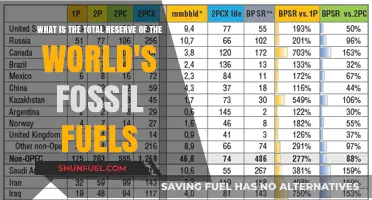 Global Fossil Fuel Reserves: Uncovering the World's Remaining Energy Supply