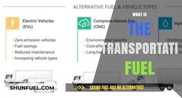 Exploring the Essentials: What Fuels Our Transportation?