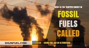 Unlocking the Mystery: Fossil Fuels' Trapped Energy Explained