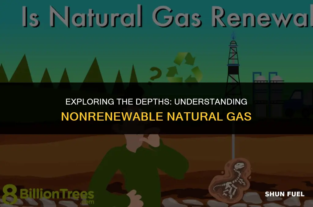 what is the type nonrenewable natural gas