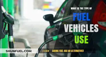 Exploring the Different Types of Fuel Vehicles Use Today