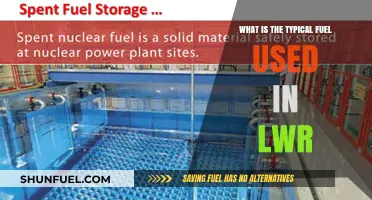 Understanding LWR Fuel: The Role of Uranium in Light Water Reactors