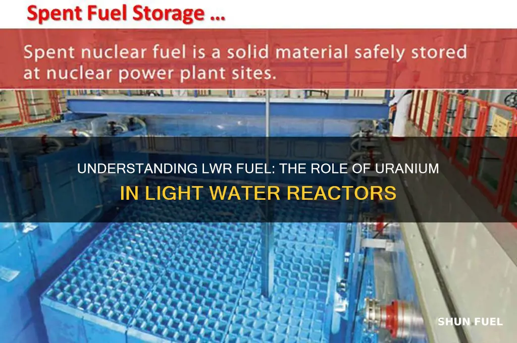 what is the typical fuel used in lwr