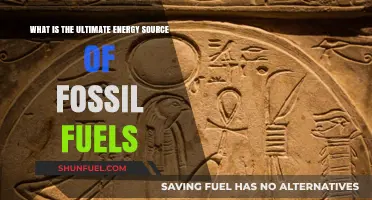 Unveiling the Ancient Sun: The Ultimate Energy Source of Fossil Fuels