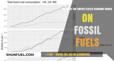Fossil Fuels: The Backbone of the U.S. Economy Explained
