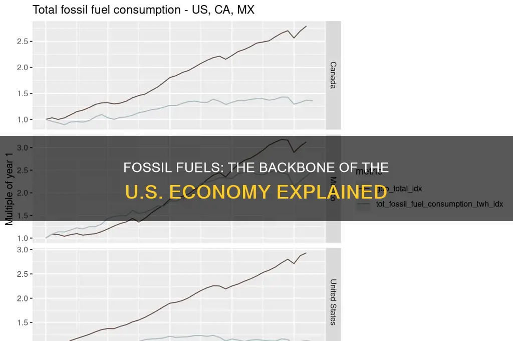 what is the united states economy based on fossil fuels