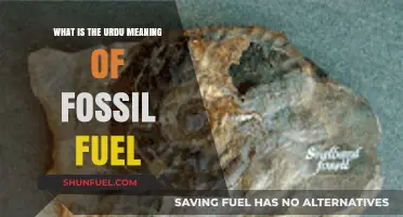 Understanding Fossil Fuel: Exploring Its Urdu Translation and Significance