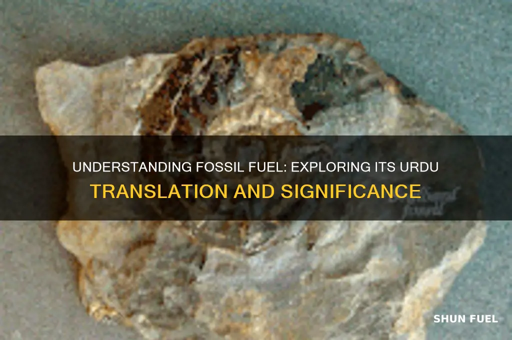 what is the urdu meaning of fossil fuel