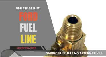Ford Fuel Line Valve: What's the Deal?