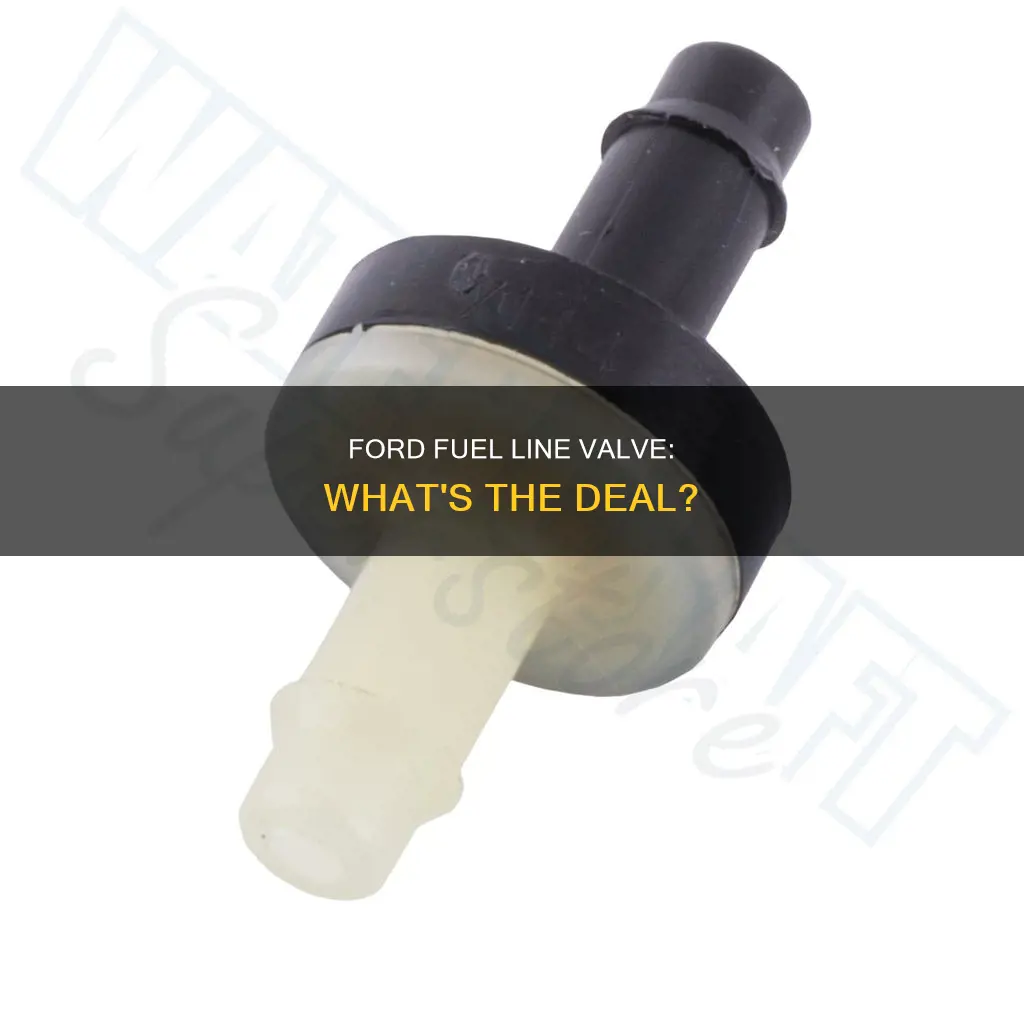 what is the valbe i my ford fuel line