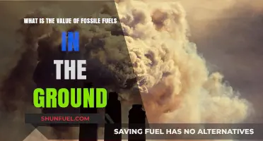 Untapped Fossil Fuels: Assessing Their Ground Value and Future Impact