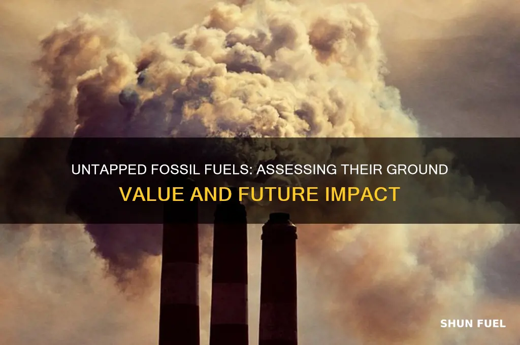 what is the value of fossile fuels in the ground