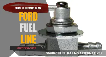 Ford Fuel Line Valve: What's Its Function?