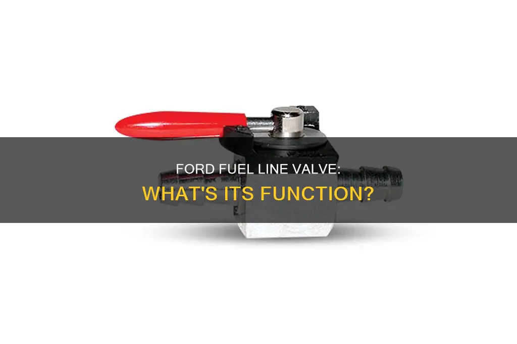 what is the valve in my ford fuel line