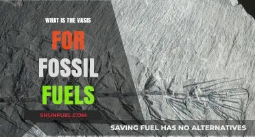 Understanding the Basis for Fossil Fuels: Origins, Uses, and Impacts