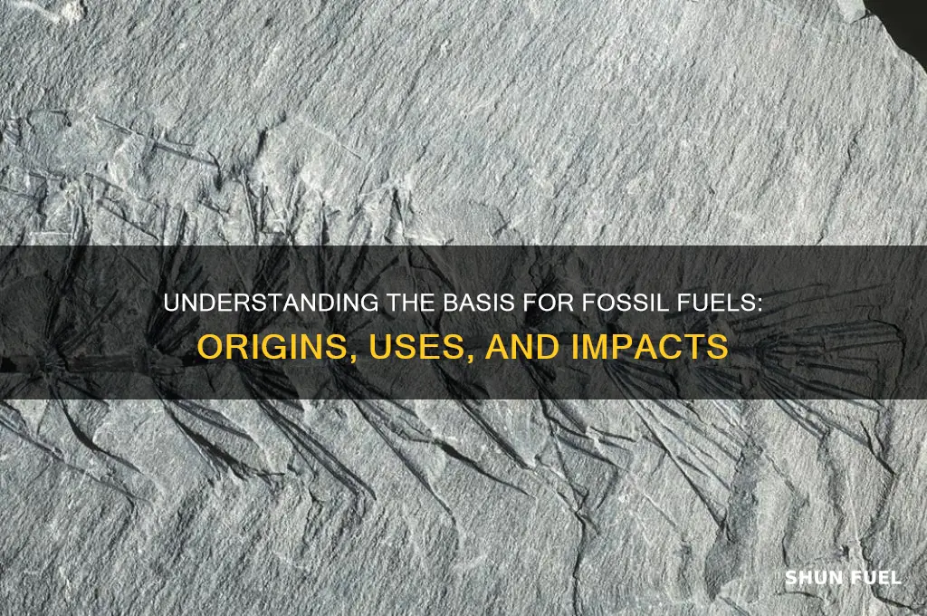 what is the vasis for fossil fuels