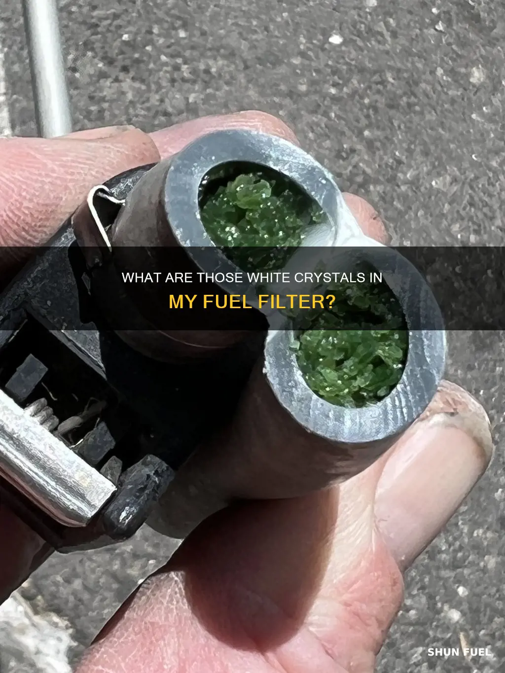 what is the white crystals in my fuel filter housing