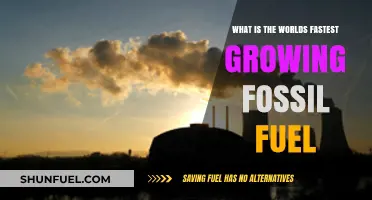 The Surprising Rise: World's Fastest-Growing Fossil Fuel Revealed