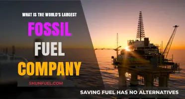 Unveiling the World's Largest Fossil Fuel Company: A Comprehensive Overview