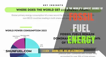 Unveiling the World's Largest Fossil Fuel Energy Source: A Comprehensive Analysis