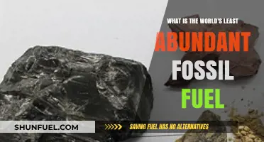 Exploring the Rarest Fossil Fuel: What is the World's Least Abundant Resource?