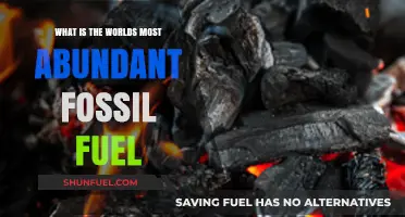 Exploring the World's Most Abundant Fossil Fuel: Coal's Dominance