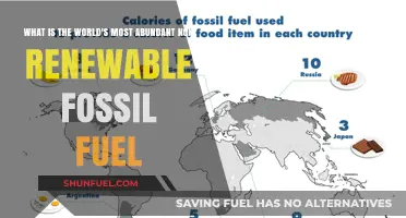 The Most Common Non-Renewable Fossil Fuel: A Global Perspective