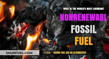 Exploring the World's Most Abundant Nonrenewable Fossil Fuel: Coal's Dominance
