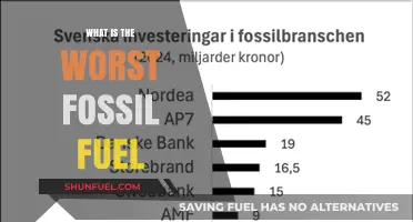 The Most Harmful Fossil Fuel: Uncovering the Worst Environmental Offender
