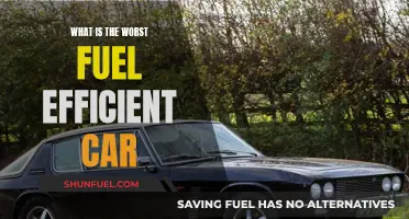 The Least Fuel-Efficient Car: A Guzzler's Guide