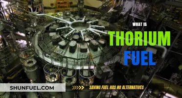 Unlocking the Power of Thorium: A Sustainable Fuel for the Future