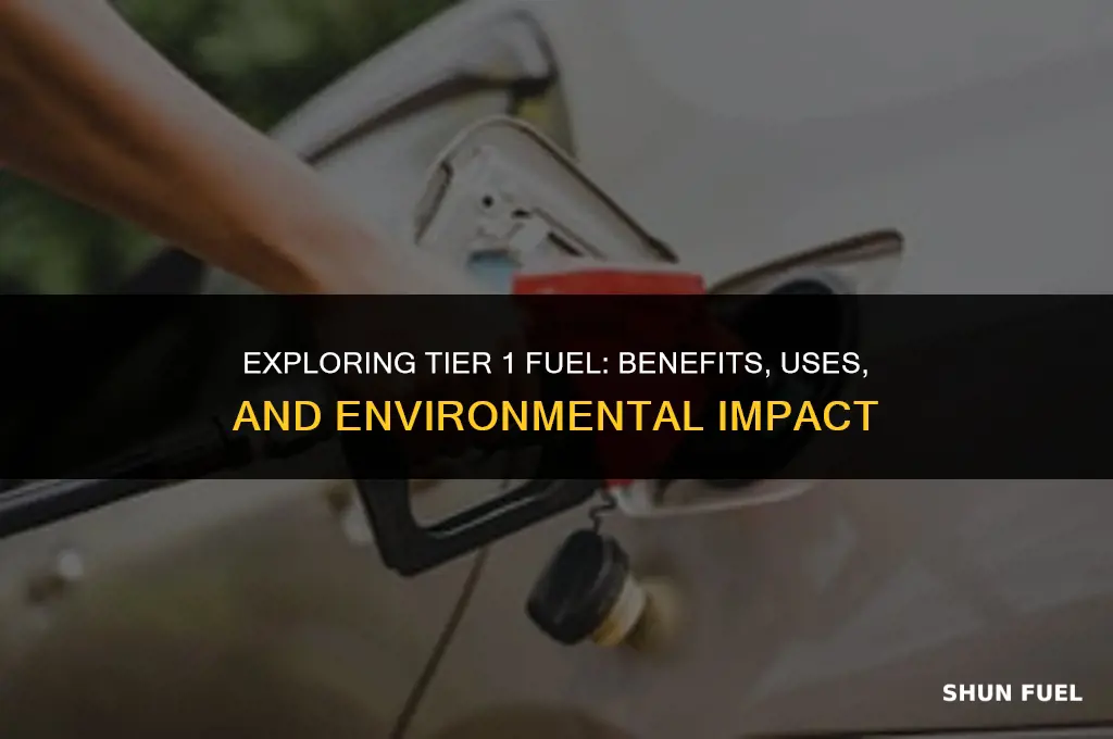 what is tier 1 fuel