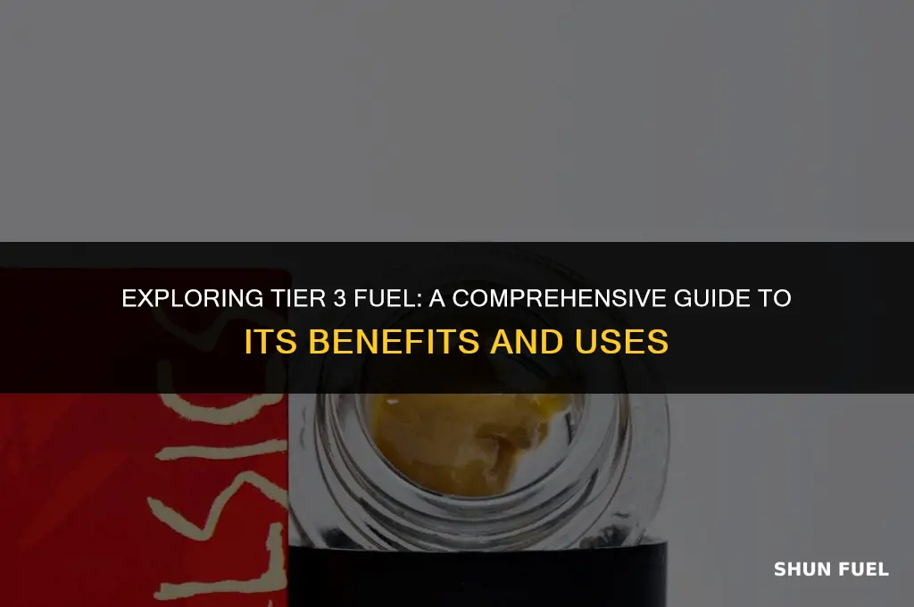 what is tier 3 fuel
